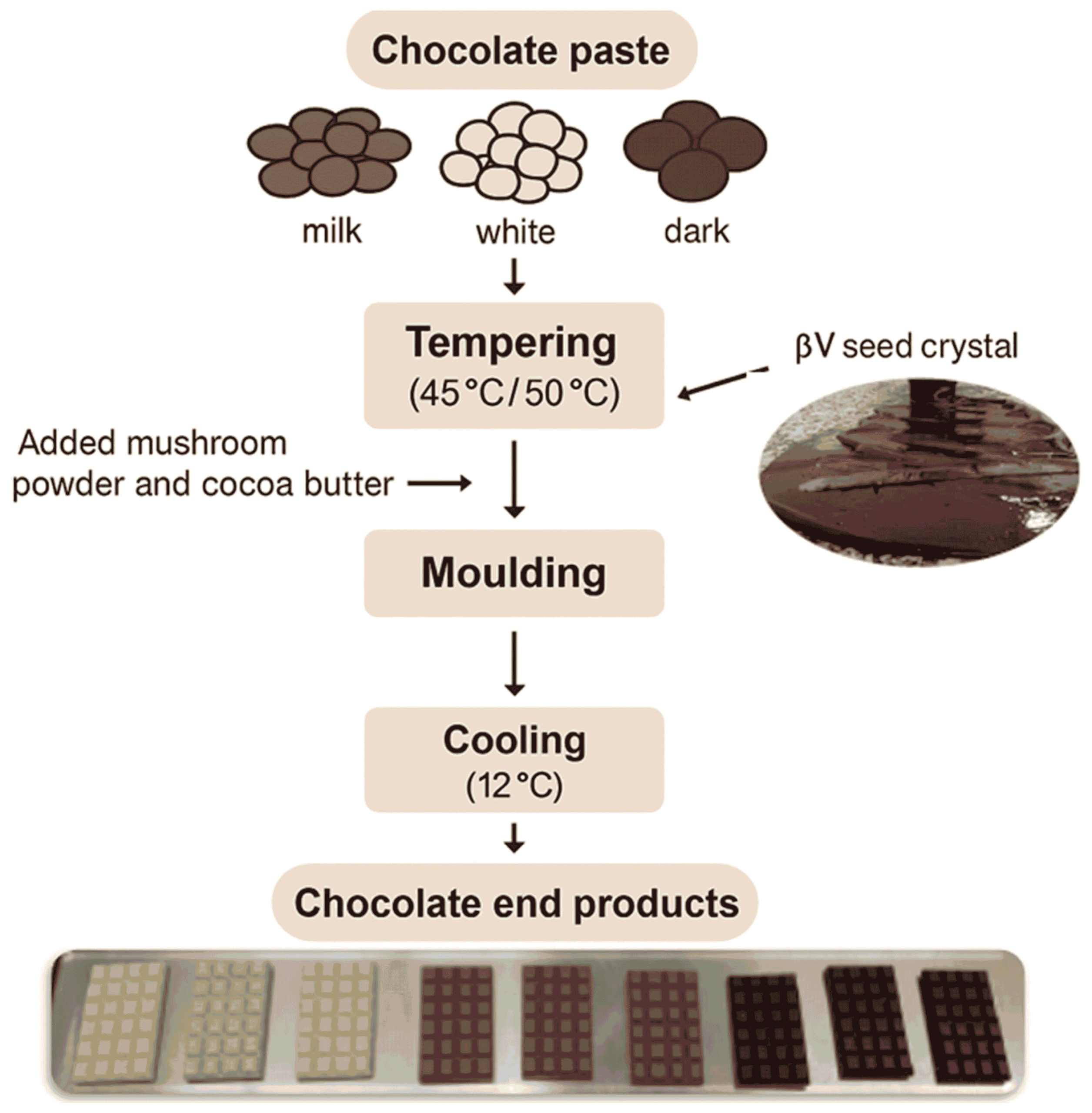 Guide to Making Mushroom Chocolate Bars (1)