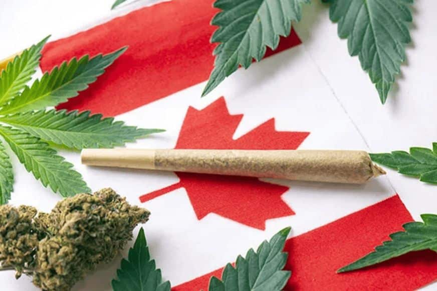 How to Find Affordable Cannabis Online in Canada